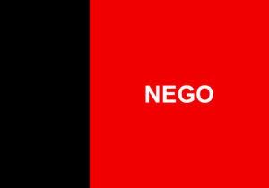 Bandeira do estado da Paraíba, Brasil, com as cores preta e vermelha e a palavra "NEGO" em branco