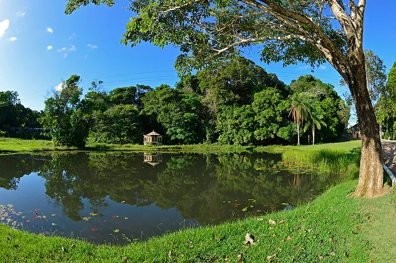 Lago do Jardim Botânico Benjamin Maranhão rodeado por árvores, em João Pessoa