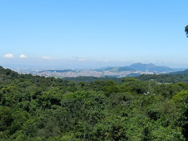Vista panorâmica do Parque Estadual da Cantareira em São Paulo