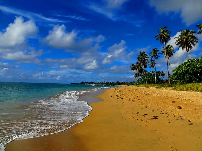 Praia deserta com areia dourada, mar calmo e coqueiros em Itaparica, Bahia