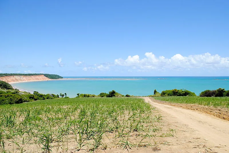 Trilha de terra levando à Praia de Carro Quebrado com mar azul ao fundo e falésias à esquerda