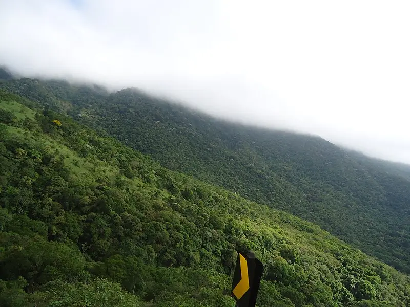 Serra de Palmácia coberta por vegetação e neblina no Ceará