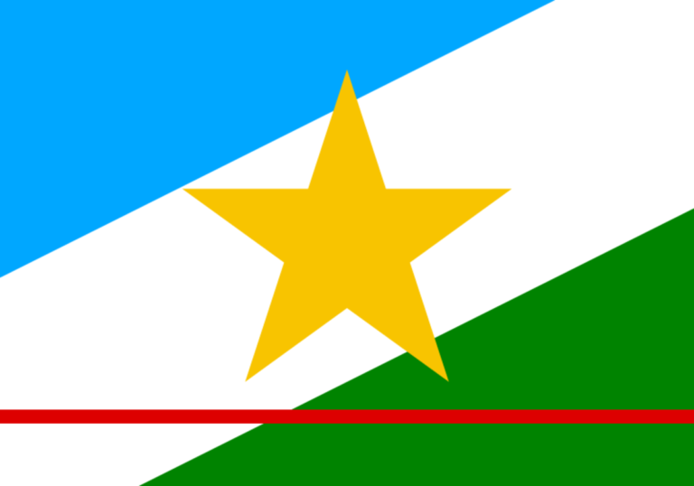 Bandeira do estado de Roraima com estrela amarela, faixas azul, branca, verde e linha vermelha. Por E2m, Domínio público, via Wikimedia Commons