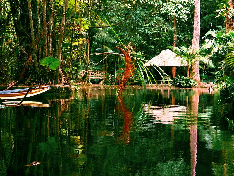 Lago em meio à vegetação densa do Bosque Rodrigues Alves, em Belém do Pará