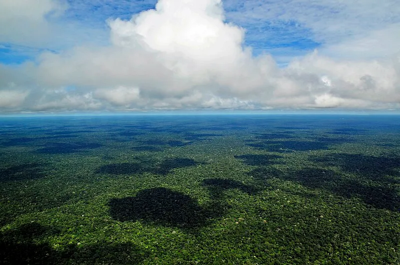 Vista aérea da Floresta Amazônica com nuvens e vegetação densa