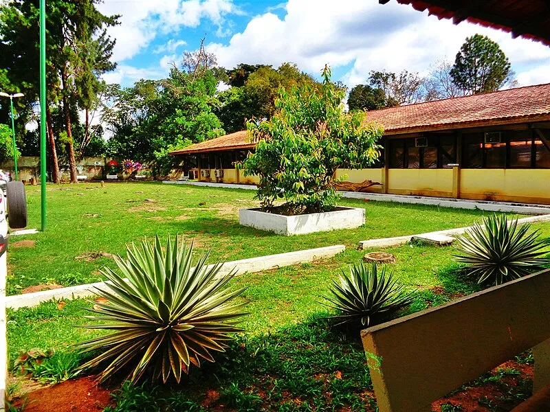Vista externa do campus da UNIFAP em Macapá com gramado e plantas