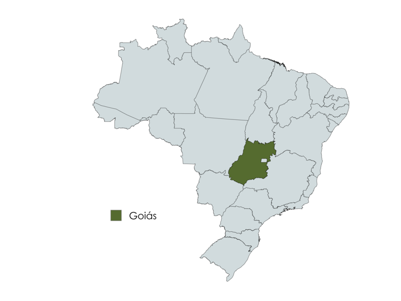Mapa do Brasil com destaque para o estado de Goiás em verde
