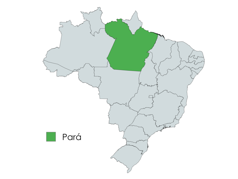 Mapa do Brasil com o estado do Pará em destaque na cor verde