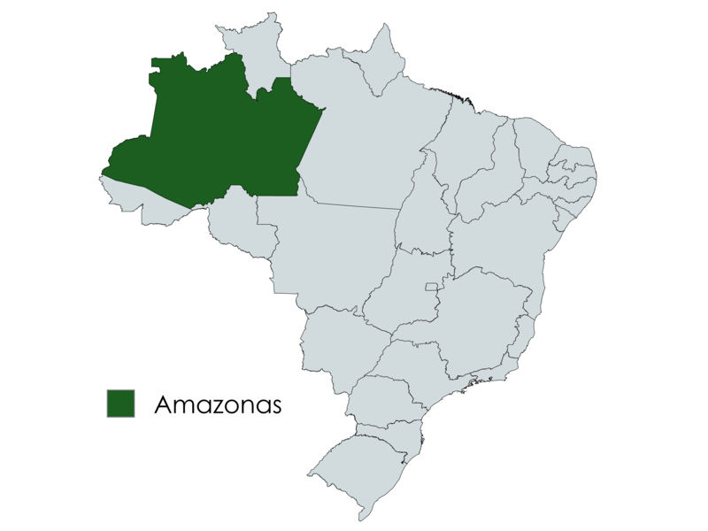 Mapa do Brasil com o estado do Amazonas destacado em verde