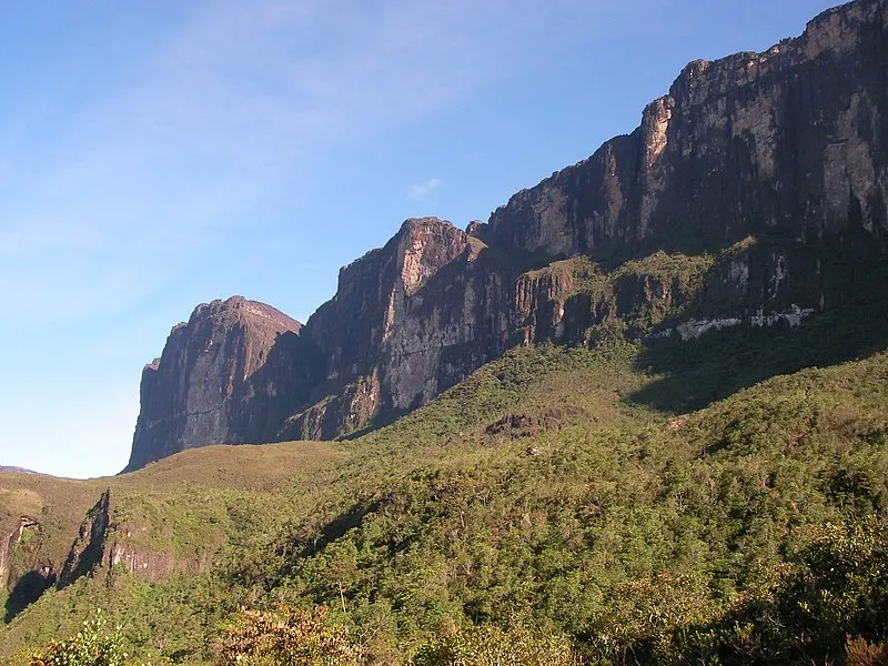 Vista do Monte Roraima com paredões de pedra e vegetação ao redor