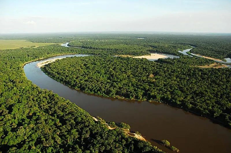 Vista aérea parcial do Parque Nacional Viruá em Roraima, Brasil