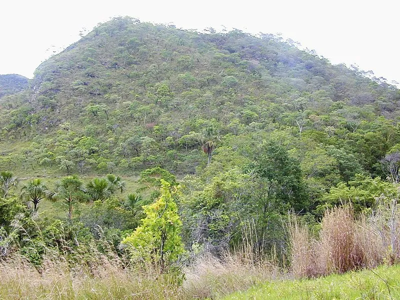 Vegetação do Cerrado com relevo ondulado e árvores esparsas no Centro-Oeste do Brasil