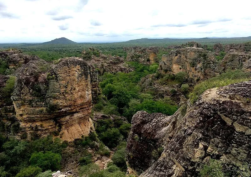 Vista das formações rochosas e vegetação no Parque Nacional da Serra da Capivara, no Piauí