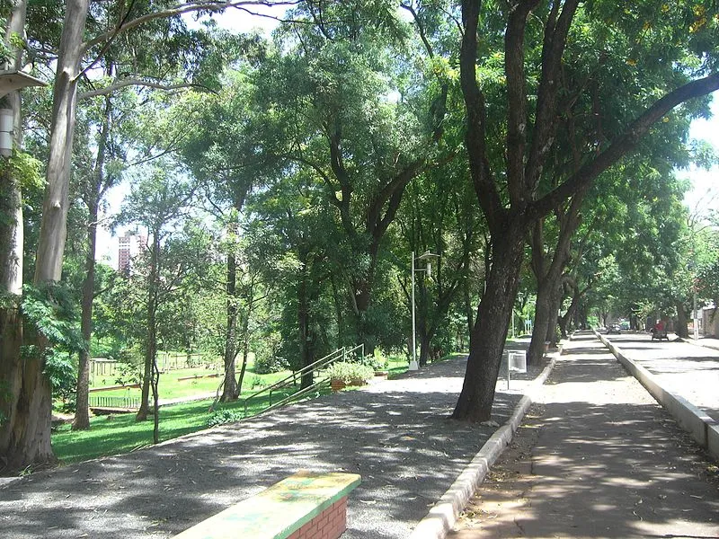 Caminho sombreado por árvores no Parque Zerão em Londrina, Paraná