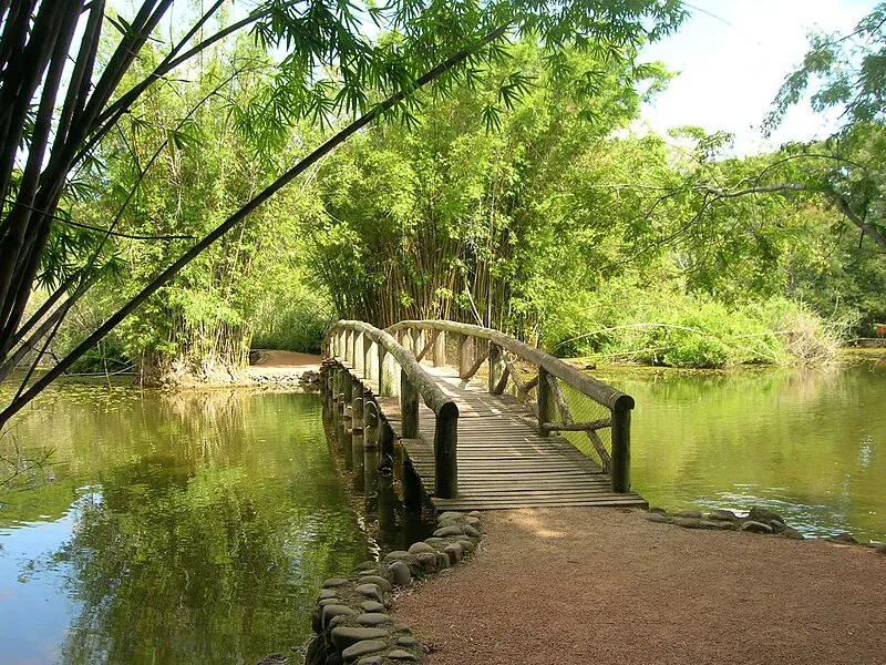Ponte de madeira sobre lago no Jardim Botânico de Porto Alegre