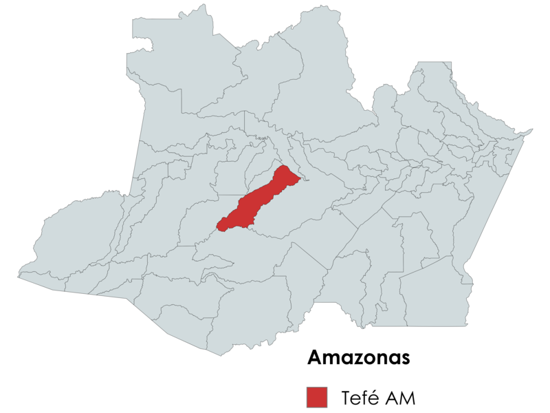 Mapa do estado do Amazonas com destaque em vermelho para o município de Tefé