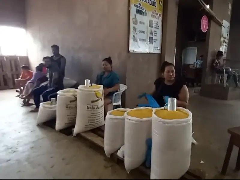 Venda de farinha de mandioca no interior do mercadão municipal de Tefé, Amazonas