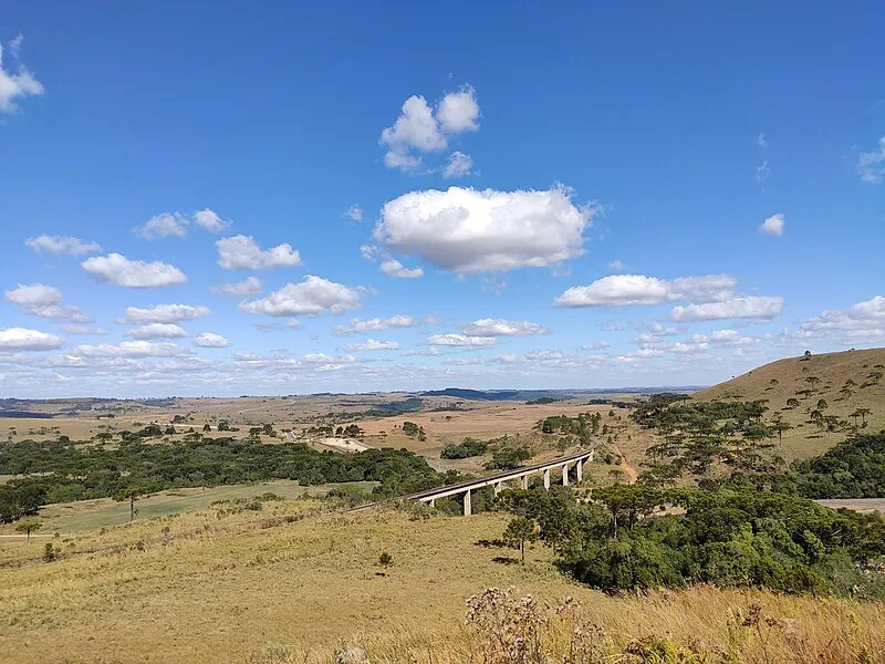 Paisagem rural da Coxilha Rica em Lages, com campos, araucárias e ponte sobre o vale