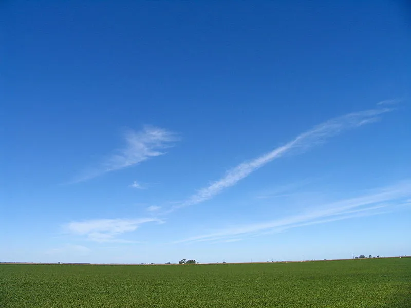 Plantação de soja em Catalão, Goiás, sob céu azul e horizonte plano