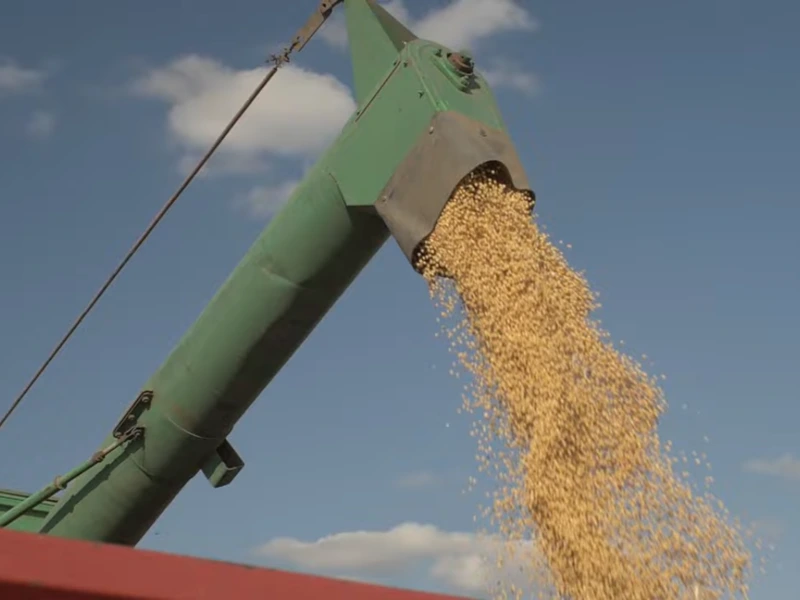 Colheita de soja mecanizada na região agrícola de Sorriso MT durante a safra