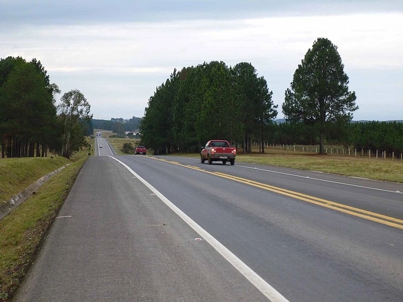 Trecho da BR-116 em Santa Catarina com pista simples, sinalização horizontal e vegetação típica do Sul do Brasil